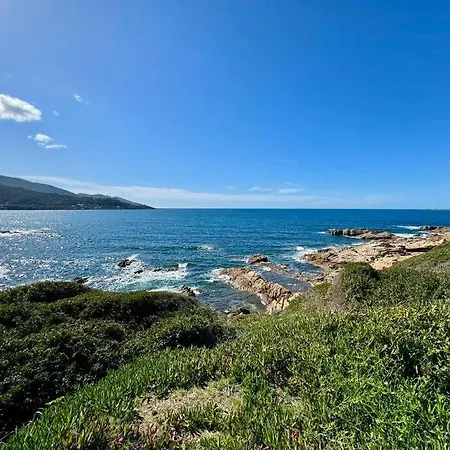 Les Pieds Dans L'eau Διαμέρισμα Calcatoggio (Corsica)