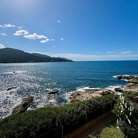 Les Pieds Dans L'eau