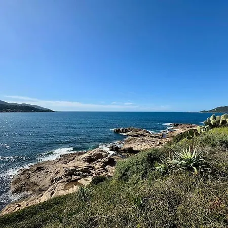 Les Pieds Dans L'eau Apartment *