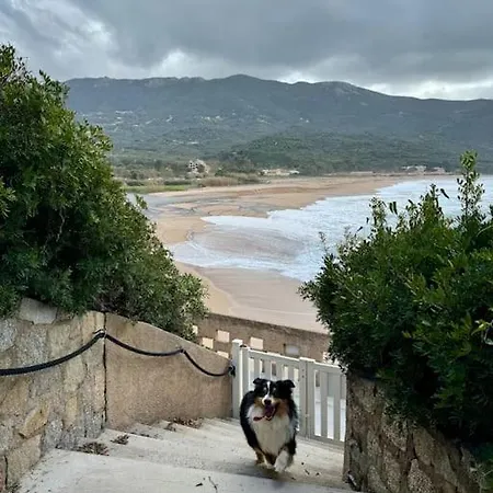 Les Pieds Dans L'eau * Calcatoggio (Corsica)