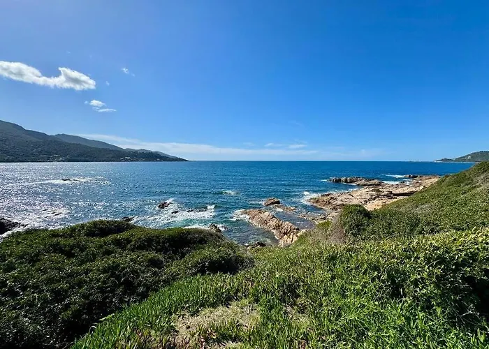 Les Pieds Dans L'eau Apartment Calcatoggio (Corsica)