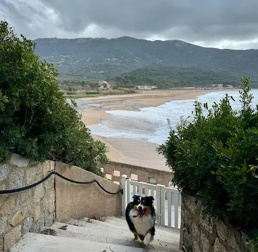 Les Pieds Dans L'eau * Calcatoggio (Corsica)